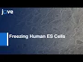 Download Lagu Freezing Human ES Cells l Protocol Preview