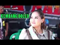 KEMBANG BOLED ~ NUNG UL QISMA // CITRA NADA LIVE DESA MALAHAYU (BLOK 2) // BANJARHARJO - BREBES