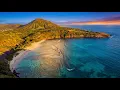 HAWAII Deep House Mix 2026 🌺 Tropical Chillout Lounge 4K | AEVE DEEP #92