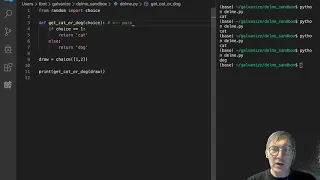 Functions - Parameters vs Arguments
