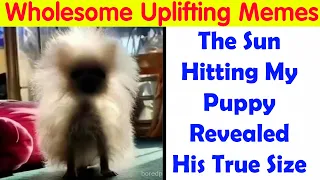 Uplifting Memes And Posts For That Daily Dose Of Positivity
