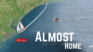 Turtles in Georgetown | Sailing 23