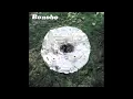 Bonobo - Between The Lines (feat. Bajka) (Official Audio)