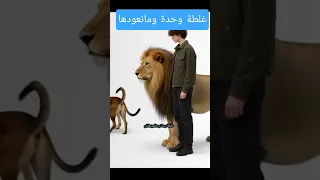 غلطة وحدة و مانعودهاش الذيب ذيب نيتو ديما مخدوعه و الكلب كلب 