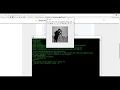 How to run MATLAB code from Python
