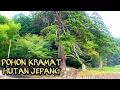 Download Lagu BLUSKAN KALI INI AKU MENUJU KE PELOSOK HUTAN JEPANG || POHON KERAMAT BERUSIA RIBUAN TAHUN!!