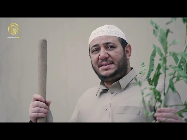 ⁣(على حب علي نزرع) حملة تطلقها العتبة العلوية المقدسة لتشجير أحياء النجف الأشرف