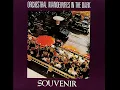 Orchestral Manoeuvres in the Dark - Souvenir (1981)