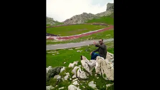                                 دندنها