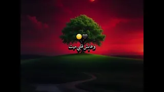 عادي تنساني وتروح     حالات واتس دندنها
