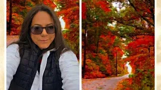 The magic of Canadian fall A Beautiful autumn walk