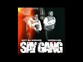 Wee2Hard - Say Gang (Feat. Anti Da Menace) [Clean]