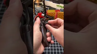                                        دندنها