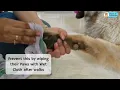 Download Lagu Soft Paws 100% Natural Paw Cream | Soft Paws | Paw Care | Papa Pawsome | Grooming Routine