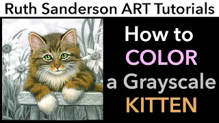 Coloring Fur and a Grayscale Kitten