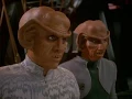 Quark Has Many Friends