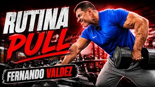 PULL BRUTAL | Espalda, Hombro posterior y Biceps  FERNANDO VALDEZ