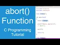 abort Function C Programming Tutorial