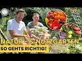 Download Lagu Self-sufficiency, fruit \u0026 vegetables in the natural garden!