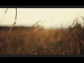 Download Lagu Sony FX30 Prores Raw 4k 16bit Heavy Grade Footage