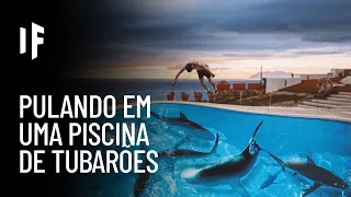 E se você caísse em uma piscina cheia de tubarões?