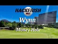 Wynn Money Hole