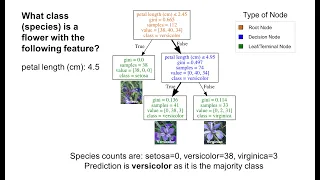 Understanding Decision Trees using Python scikit-learn