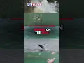 Summer on The Seas With FOX Weather