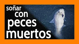 Sonar con Peces Muertos MALAS PROYECCIONES