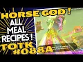 TotK088a All Horse God Meal Recipes And Upgrade Requirements Revealed