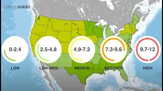 Top 4 Common FAQs about Pollen Count Allergy Insider