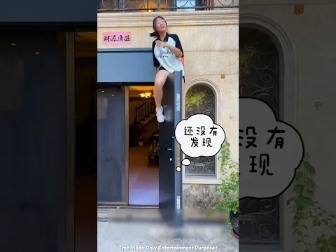 😂 She Climbed on Top of the Door to Escape Tommy! 🐕🤣 #shorts #youtubeshorts