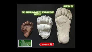 Curiosity Piqued Bigfoot Acknowledged by Anthropologists EP - 82
