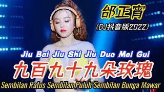  dj 2022 jiu bai jiu shi jiu duo mei gui 999 bunga mawar 999 roses terjemahan