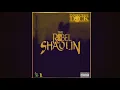 Download Lagu INSPECTAH DECK - The Rebel of Shaolin