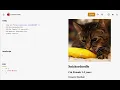 HTML and CSS basics using JSFiddle