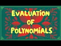Evaluating Polynomials