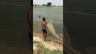 Big Fish Out Of Jaal Jaal Fishfarmer Fishing Freshwaterfish Fish Kolathurfishfarm 