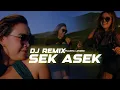 DJ REMIX SEK ASEK - Yuanita Lovers