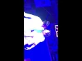 [電波少女]ワンマンライブ owarino hajimari.  ear phone .gest jinmenusagi