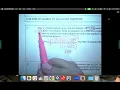 Algebra Practice Test Module 7 part 2 only the front page