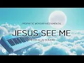 Download Lagu JESUS SEE ME / PROPHETIC WORSHIP INSTRUMENTAL / PRAYER MUSIC \u0026 MEDITATION