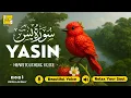 Download Lagu Relaxing Surah Yasin for Sleep, Depression, \u0026 Anxiety ✦ Yaseen سورة يس ✦ Peaceful Quran ✦ Hejazi