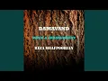 Download Lagu Damavand
