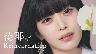  offical mv kaya reincarnation tv op 