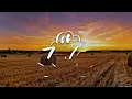 Tyler Childers - Nose On The Grindstone (Lyrics)