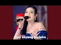 Download Lagu KAU SAYANG PADAKU