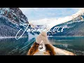 Lagu Indie/Pop/Folk Compilation • January 2026 🏔️ (best indie songs | 2-hour playlist)