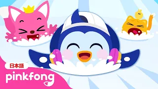 ひだり、みぎ！みんなで楽しくペンギンダンスをしよう🐧🎶 | どうぶつのうた | ピンキッツとニニモのアニマルソング | 赤ちゃんが喜ぶ｜ベイビーシャークとピンキッツ