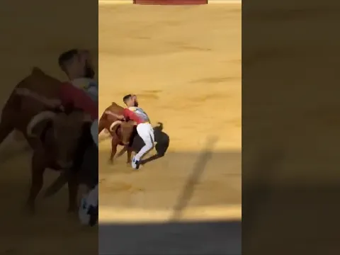 recorte ajustado noel museros medina del campo #shorts